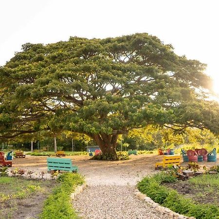 Villa Hacienda La Huerta, San Felipe de Puerto Plata Esterno foto
