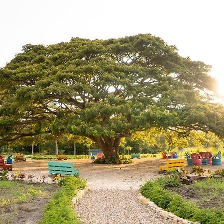 Villa Hacienda La Huerta, San Felipe de Puerto Plata Esterno foto